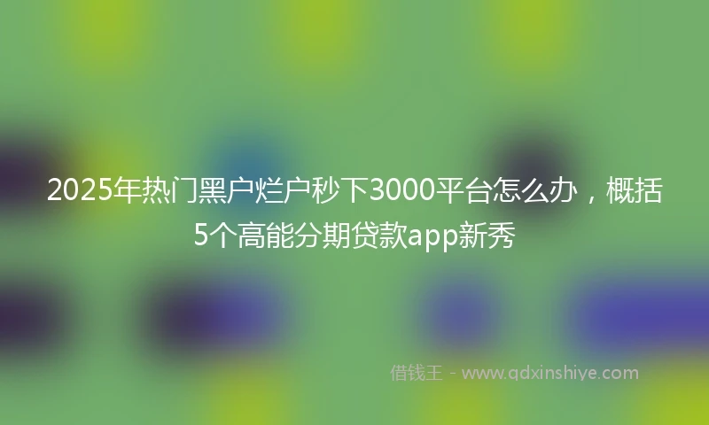 2025年热门黑户烂户秒下3000平台怎么办，概括5个高能分期贷款app新秀