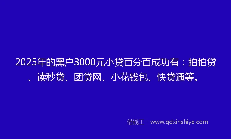 2025年的黑户3000元小贷百分百成功有：拍拍贷、读秒贷、团贷网、小花钱包、快贷通等。
