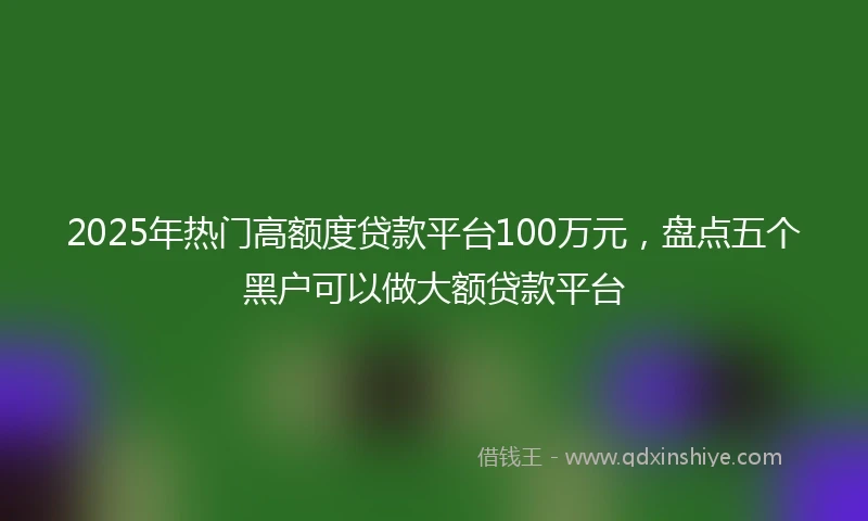 2025年热门高额度贷款平台100万元，盘点五个黑户可以做大额贷款平台