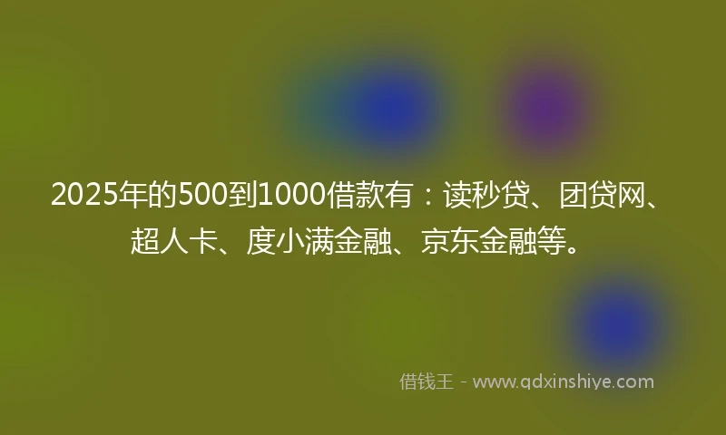 2025年的500到1000借款有：读秒贷、团贷网、超人卡、度小满金融、京东金融等。
