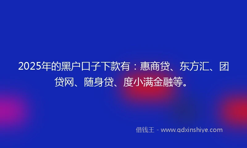 2025年的黑户口子下款有：惠商贷、东方汇、团贷网、随身贷、度小满金融等。
