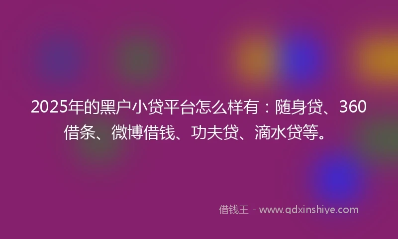 2025年的黑户小贷平台怎么样有：随身贷、360借条、微博借钱、功夫贷、滴水贷等。