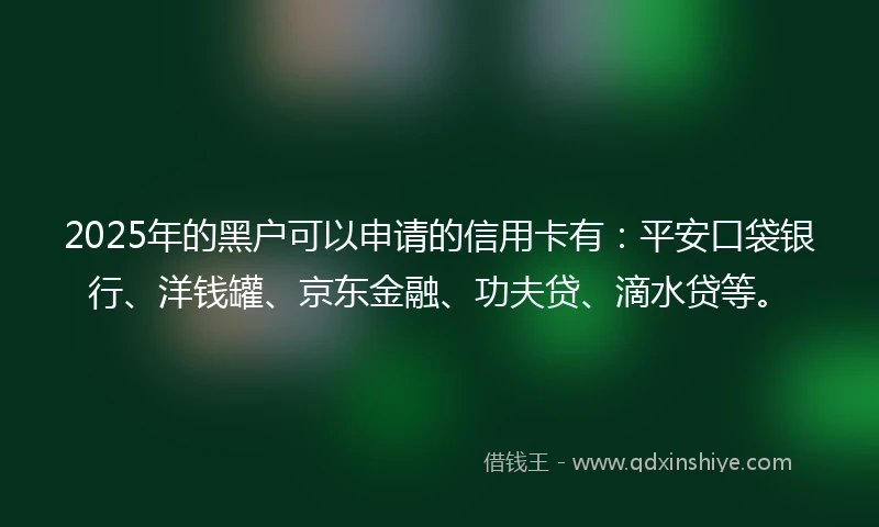 2025年的黑户可以申请的信用卡有：平安口袋银行、洋钱罐、京东金融、功夫贷、滴水贷等。
