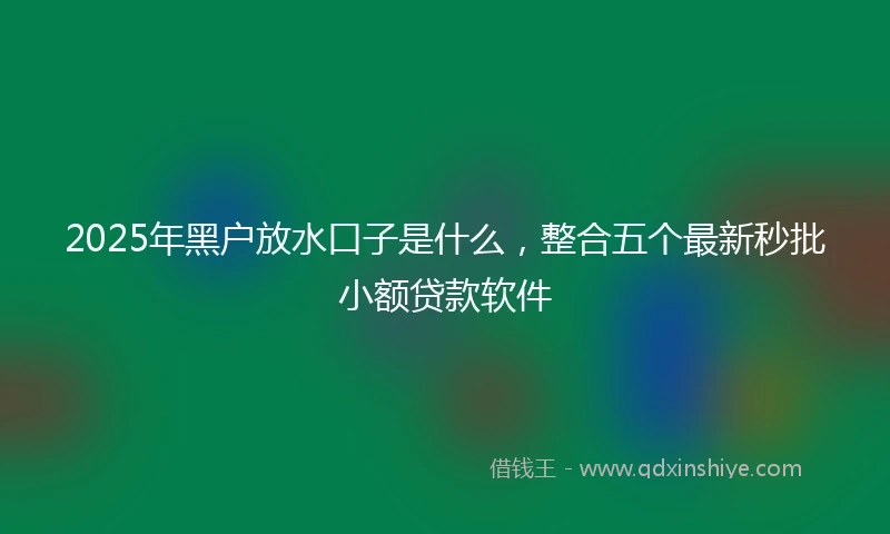 2025年黑户放水口子是什么，整合五个最新秒批小额贷款软件