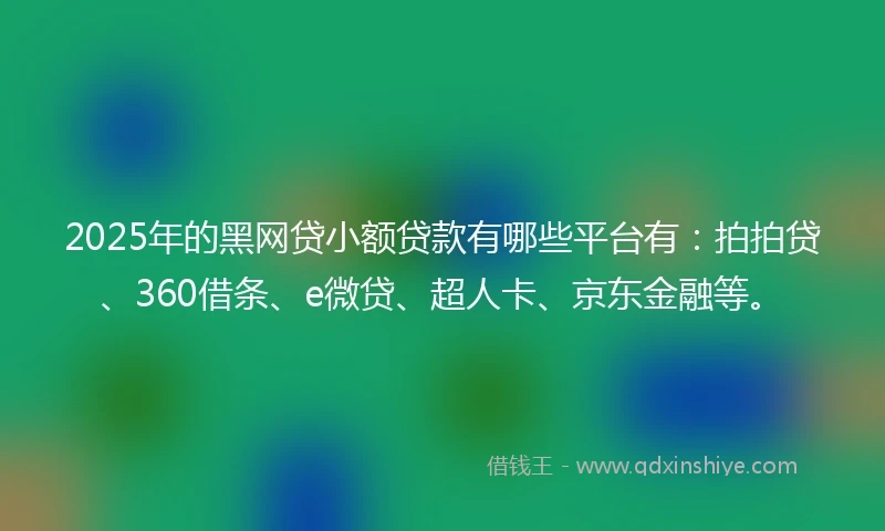 2025年的黑网贷小额贷款有哪些平台有：拍拍贷、360借条、e微贷、超人卡、京东金融等。