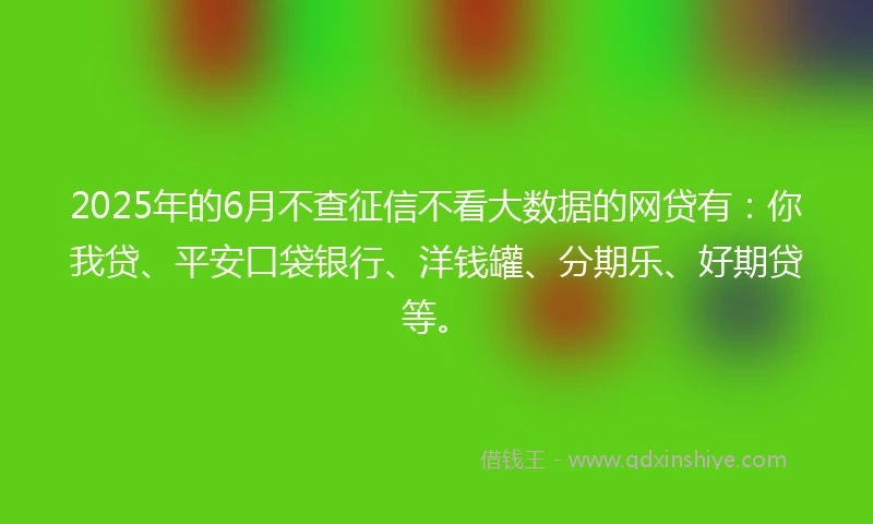 2025年的6月不查征信不看大数据的网贷有：你我贷、平安口袋银行、洋钱罐、分期乐、好期贷等。