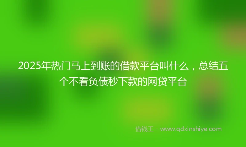 2025年热门马上到账的借款平台叫什么，总结五个不看负债秒下款的网贷平台