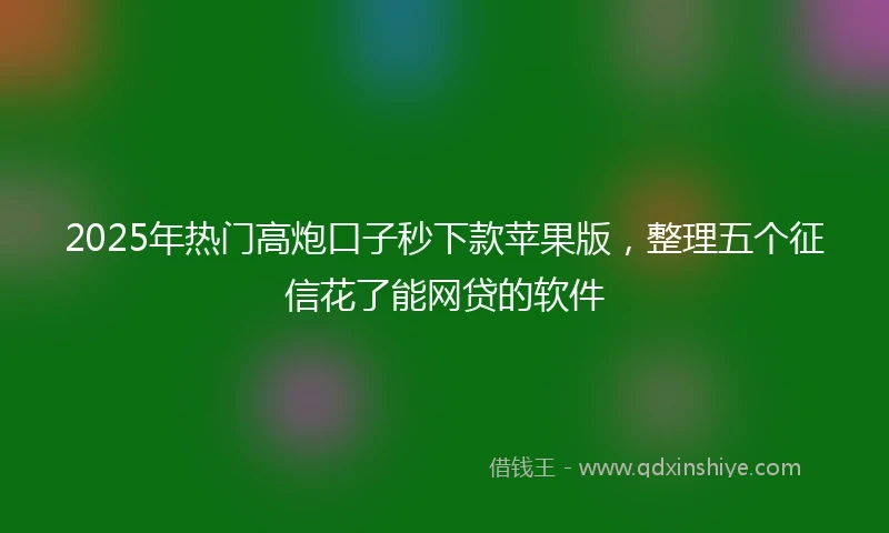 2025年热门高炮口子秒下款苹果版，整理五个征信花了能网贷的软件