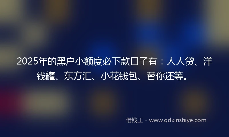 2025年的黑户小额度必下款口子有：人人贷、洋钱罐、东方汇、小花钱包、替你还等。