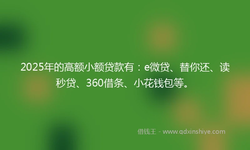 2025年的高额小额贷款有：e微贷、替你还、读秒贷、360借条、小花钱包等。