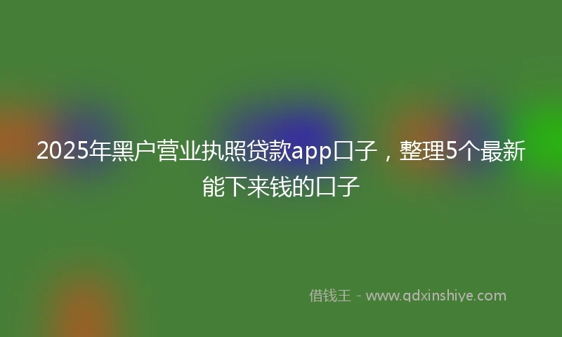 2025年黑户营业执照贷款app口子，整理5个最新能下来钱的口子