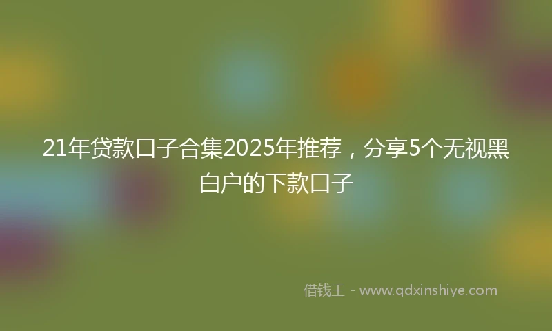 21年贷款口子合集2025年推荐，分享5个无视黑白户的下款口子
