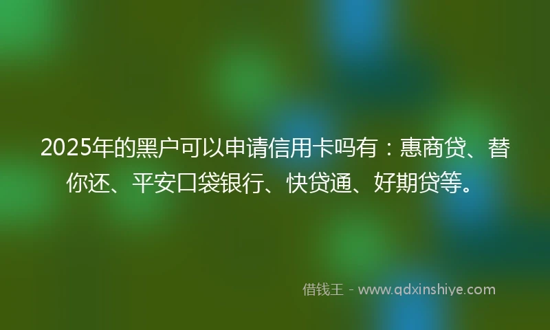 2025年的黑户可以申请信用卡吗有：惠商贷、替你还、平安口袋银行、快贷通、好期贷等。