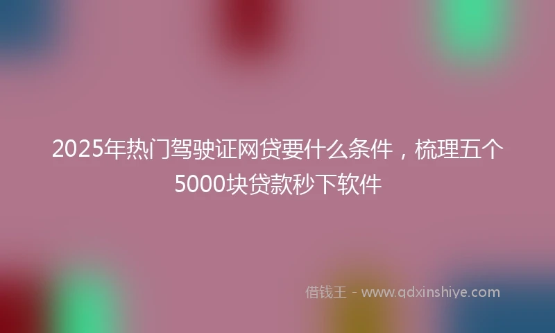 2025年热门驾驶证网贷要什么条件，梳理五个5000块贷款秒下软件
