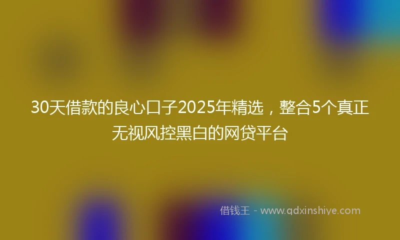 30天借款的良心口子2025年精选，整合5个真正无视风控黑白的网贷平台