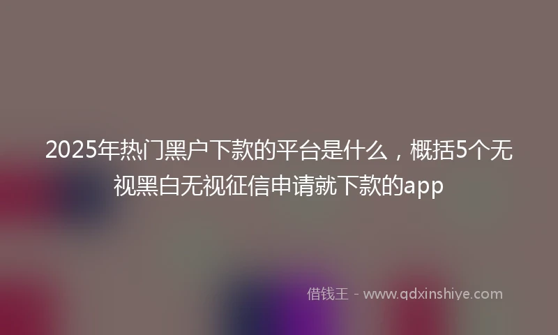 2025年热门黑户下款的平台是什么，概括5个无视黑白无视征信申请就下款的app