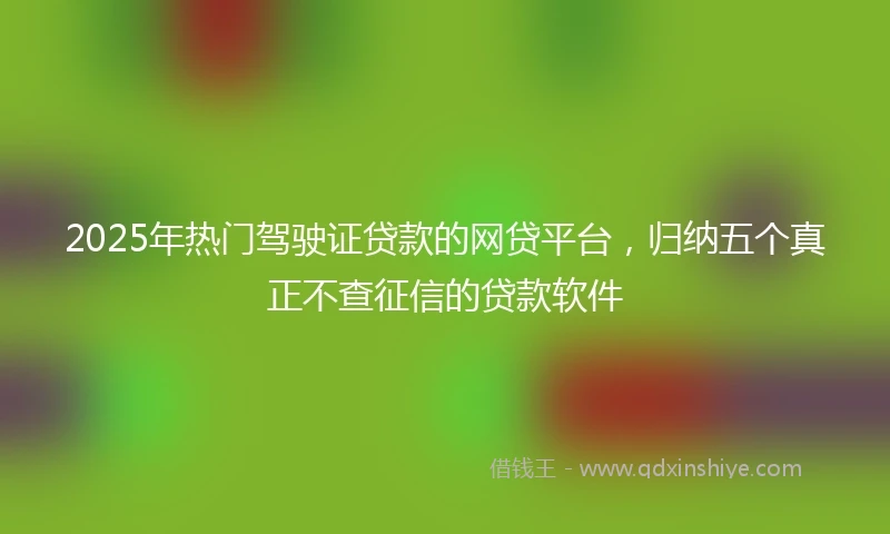 2025年热门驾驶证贷款的网贷平台，归纳五个真正不查征信的贷款软件