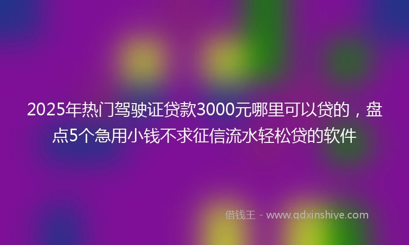 2025年热门驾驶证贷款3000元哪里可以贷的，盘点5个急用小钱不求征信流水轻松贷的软件
