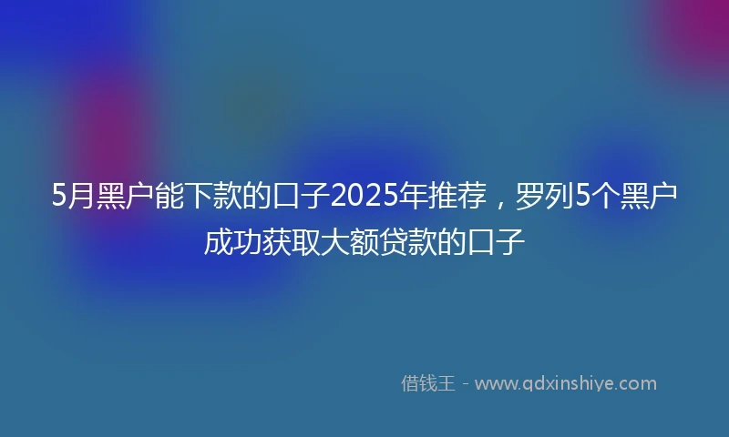 5月黑户能下款的口子2025年推荐，罗列5个黑户成功获取大额贷款的口子