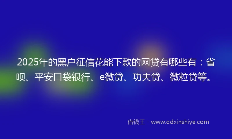 2025年的黑户征信花能下款的网贷有哪些有：省呗、平安口袋银行、e微贷、功夫贷、微粒贷等。
