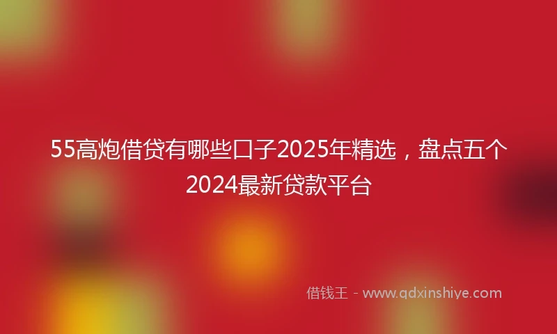 55高炮借贷有哪些口子2025年精选，盘点五个2024最新贷款平台