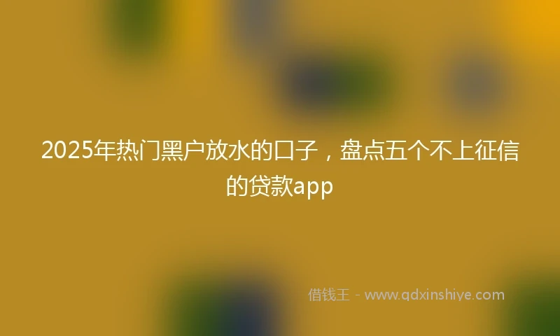 2025年热门黑户放水的口子，盘点五个不上征信的贷款app