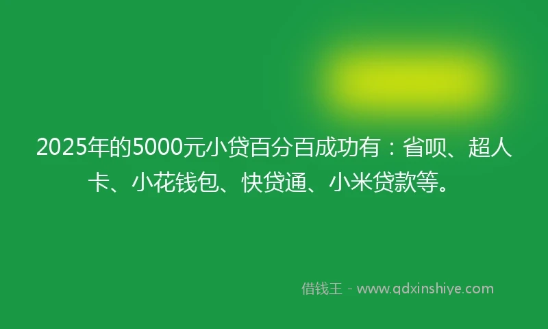 2025年的5000元小贷百分百成功有：省呗、超人卡、小花钱包、快贷通、小米贷款等。