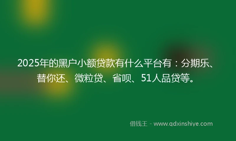 2025年的黑户小额贷款有什么平台有：分期乐、替你还、微粒贷、省呗、51人品贷等。