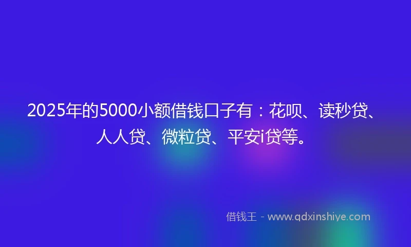 2025年的5000小额借钱口子有:花呗、读秒贷、人人贷、微粒贷、平安i贷等。
