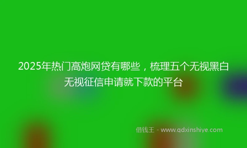2025年热门高炮网贷有哪些，梳理五个无视黑白无视征信申请就下款的平台