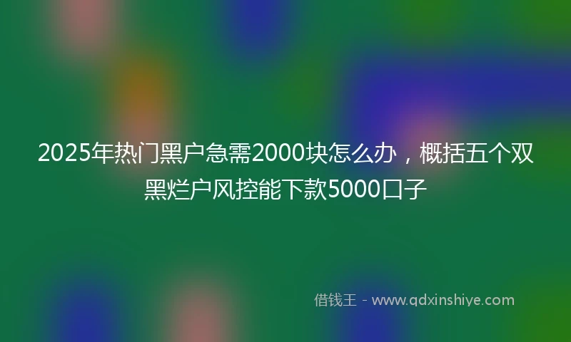2025年热门黑户急需2000块怎么办，概括五个双黑烂户风控能下款5000口子