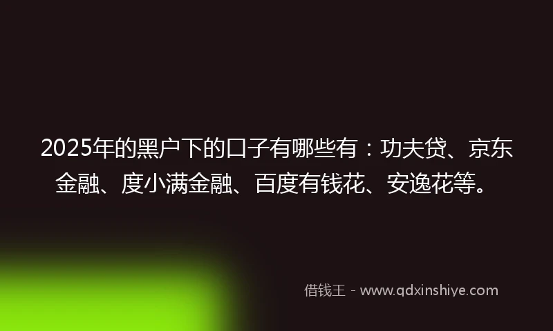 2025年的黑户下的口子有哪些有：功夫贷、京东金融、度小满金融、百度有钱花、安逸花等。