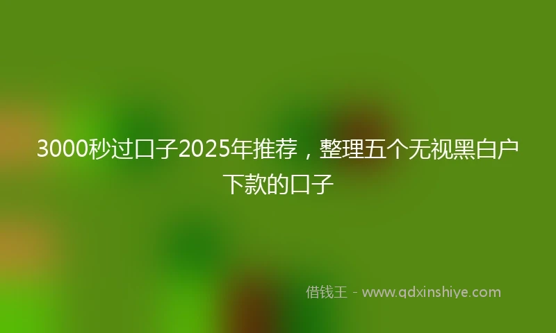 3000秒过口子2025年推荐，整理五个无视黑白户下款的口子