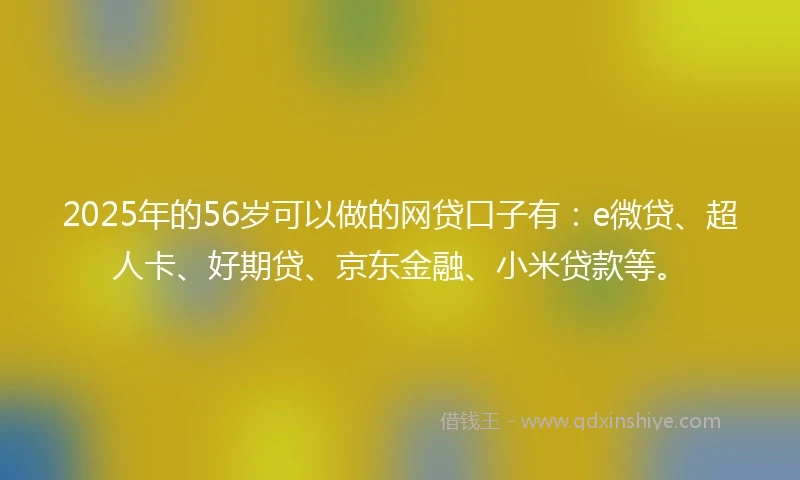 2025年的56岁可以做的网贷口子有：e微贷、超人卡、好期贷、京东金融、小米贷款等。