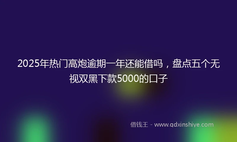 2025年热门高炮逾期一年还能借吗，盘点五个无视双黑下款5000的口子