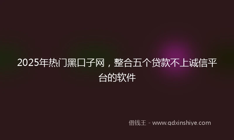2025年热门黑口子网，整合五个贷款不上诚信平台的软件