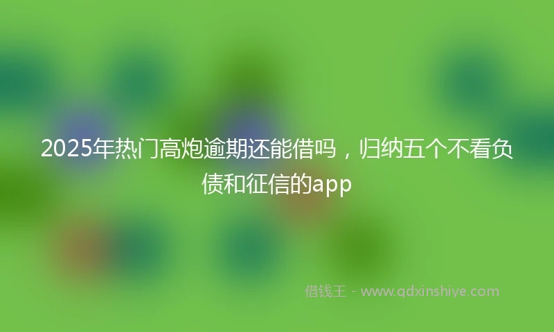 2025年热门高炮逾期还能借吗，归纳五个不看负债和征信的app