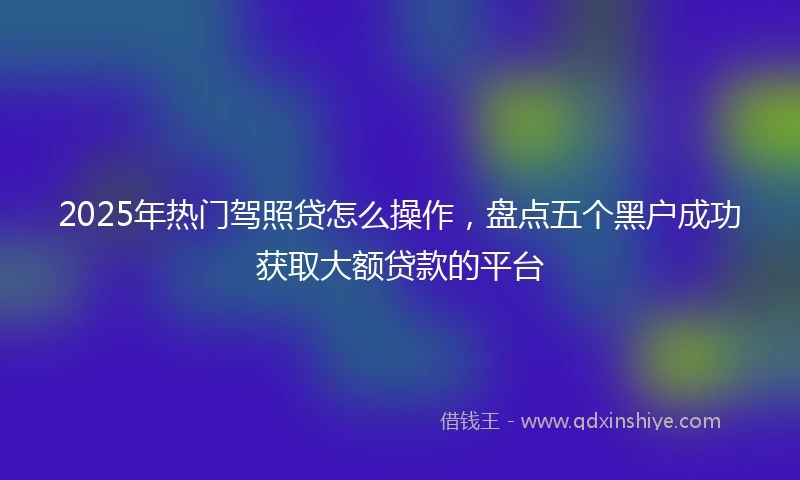 2025年热门驾照贷怎么操作，盘点五个黑户成功获取大额贷款的平台
