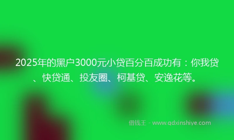 2025年的黑户3000元小贷百分百成功有：你我贷、快贷通、投友圈、柯基贷、安逸花等。