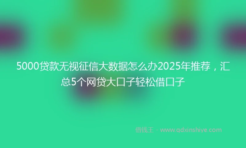 5000贷款无视征信大数据怎么办2025年推荐，汇总5个网贷大口子轻松借口子
