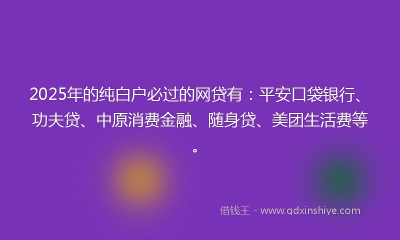 2025年的纯白户必过的网贷有：平安口袋银行、功夫贷、中原消费金融、随身贷、美团生活费等。