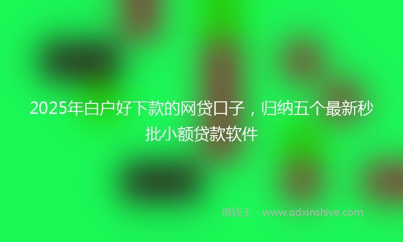 2025年白户好下款的网贷口子，归纳五个最新秒批小额贷款软件