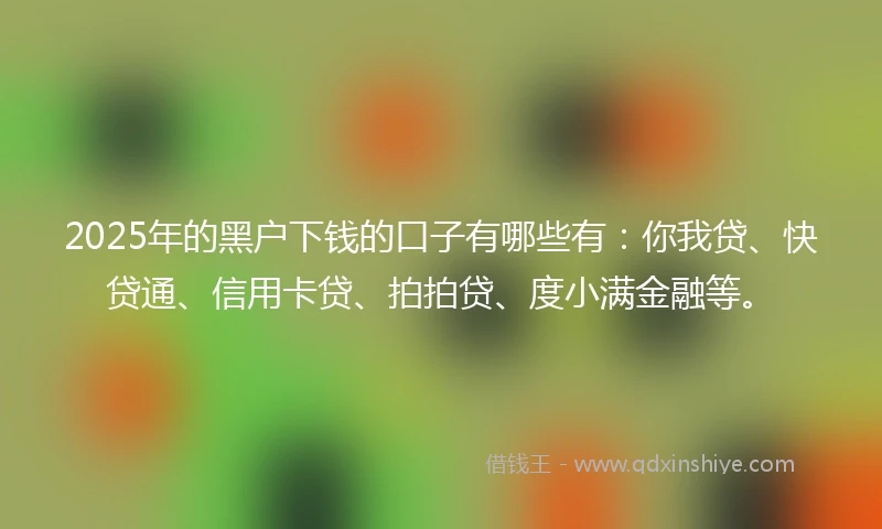 2025年的黑户下钱的口子有哪些有：你我贷、快贷通、信用卡贷、拍拍贷、度小满金融等。