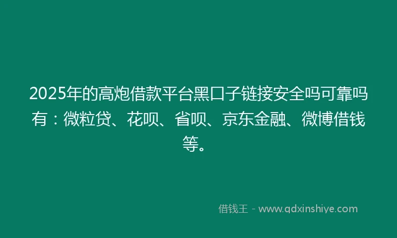 2025年的高炮借款平台黑口子链接安全吗可靠吗有：微粒贷、花呗、省呗、京东金融、微博借钱等。