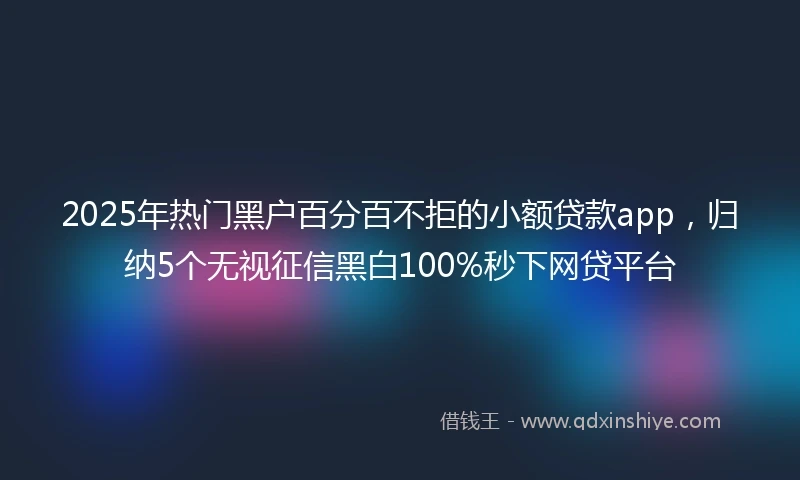 2025年热门黑户百分百不拒的小额贷款app，归纳5个无视征信黑白100%秒下网贷平台