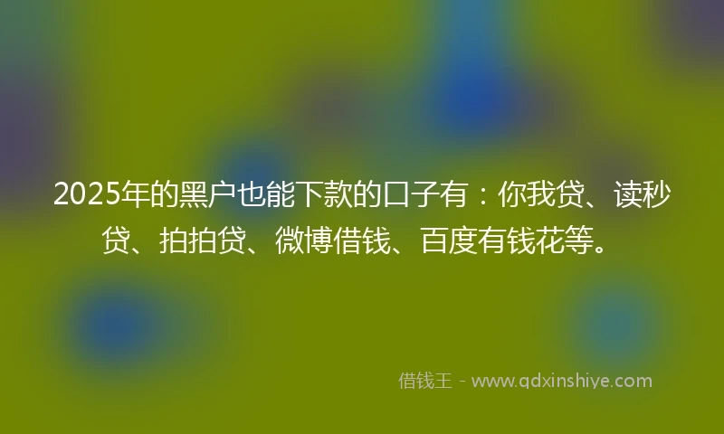 2025年的黑户也能下款的口子有：你我贷、读秒贷、拍拍贷、微博借钱、百度有钱花等。