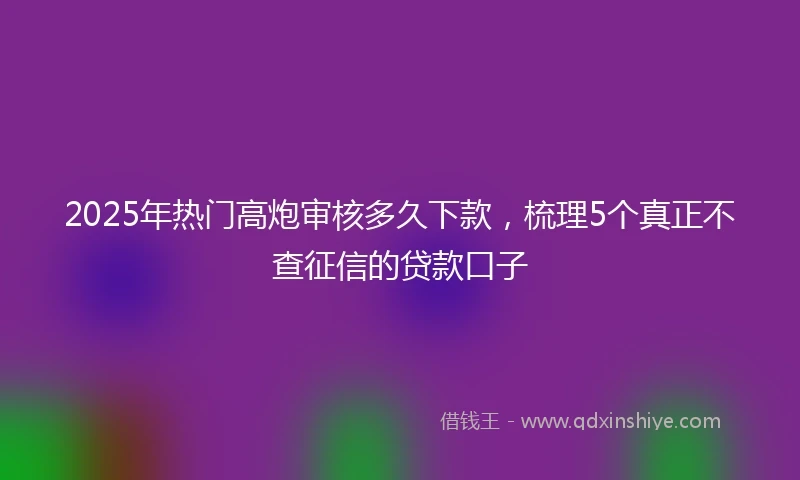 2025年热门高炮审核多久下款，梳理5个真正不查征信的贷款口子