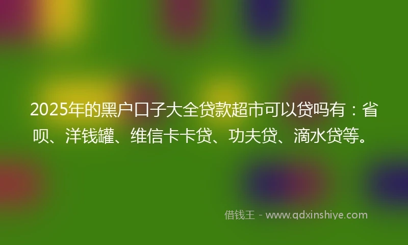 2025年的黑户口子大全贷款超市可以贷吗有：省呗、洋钱罐、维信卡卡贷、功夫贷、滴水贷等。