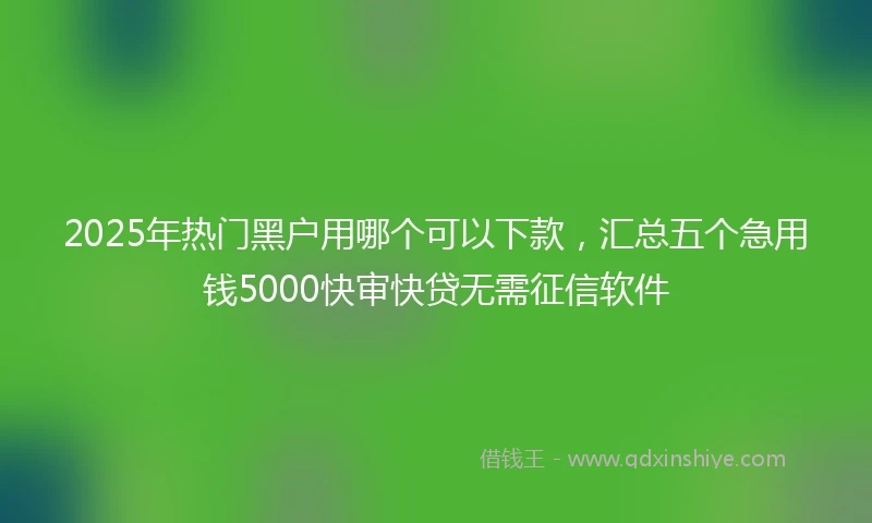 2025年热门黑户用哪个可以下款，汇总五个急用钱5000快审快贷无需征信软件