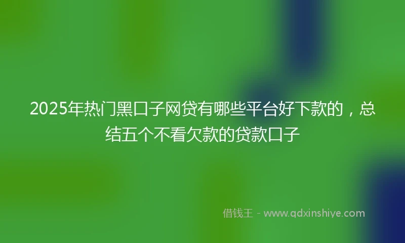 2025年热门黑口子网贷有哪些平台好下款的,总结五个不看欠款的贷款口子